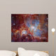 Orion Nebula Infrared Light Wall Decal