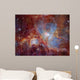 Orion Nebula Infrared Light Wall Decal