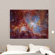 Orion Nebula Infrared Light Wall Decal