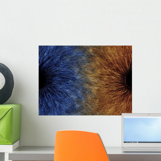 Duality Motif Wall Decal
