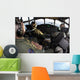 Cockpit Mc-130p Combat Shadow Wall Decal