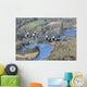 Mc-130p Combat Shadow Flight Wall Decal Design 5