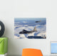 Mc-130p Combat Shadow and Wall Decal