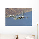 Mc-130p Combat Shadow Flight Wall Decal Design 3