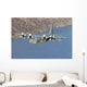 Mc-130p Combat Shadow Flight Wall Decal Design 3
