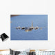 Mc-130p Combat Shadow Flight Wall Decal Design 1