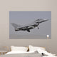 Spanish Air Force Eurofighter Wall Decal Design 2