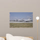 Group Dassault Mirage 2000-5eda Wall Decal Design 1