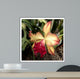 Silky Red Orchid Wall Mural