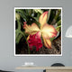 Silky Red Orchid Wall Mural
