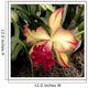 Silky Red Orchid Wall Mural
