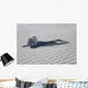 F-22 Raptor Flies around Wall Decal