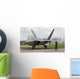 F-22 Raptor Goes through Wall Decal