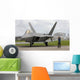 F-22 Raptor Goes through Wall Decal