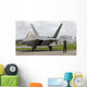F-22 Raptor Goes through Wall Decal