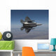 F-22 Raptor Maneuvers Wall Decal