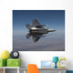 F-22 Raptor Maneuvers Wall Decal