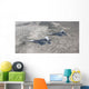 Two F-22 Raptors Fly Wall Decal Design 1