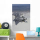 Two F-22 Raptors Wall Decal