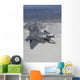 Two F-22 Raptors Wall Decal