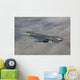 F-16 Maneuvers during Training Wall Decal Design 2
