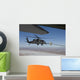 Hh-60g Pave Hawk Conducts Wall Decal
