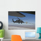 Hh-60g Pave Hawk Conducts Wall Decal