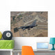 F-16 Fighting Falcon Flight Wall Decal