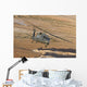Hh-60g Pave Hawk Flies Wall Decal Design 2