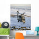 Hh-60g Pave Hawk Flies Wall Decal