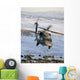 Hh-60g Pave Hawk Flies Wall Decal