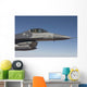 F-16 Fighting Falcon during Wall Decal Design 2