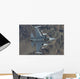 F-16 Fighting Falcon Training Wall Decal