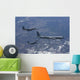 Two F-15 Eagles Conduct Wall Decal Design 4