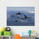 Kc-135r Stratotanker Refuels Three Wall Decal
