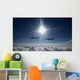 Two F-117 Nighthawk Stealth Wall Decal Design 2