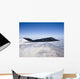 F-117 Nighthawk Stealth Fighter Wall Decal Design 2