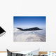 F-117 Nighthawk Stealth Fighter Wall Decal Design 2