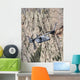 Cv-22 Osprey Training Mission Wall Decal Design 3