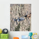 Cv-22 Osprey Training Mission Wall Decal Design 3