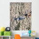 Cv-22 Osprey Training Mission Wall Decal Design 3