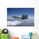 F-22 Raptor Flies around Wall Decal Design 2