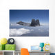 F-22 Raptor Flies around Wall Decal Design 2