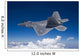 F-22 Raptor Flies around Wall Decal