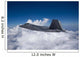 F-22 Raptor Flies around Wall Decal Design 1