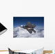 F-22 Raptor Releases Flare Wall Decal