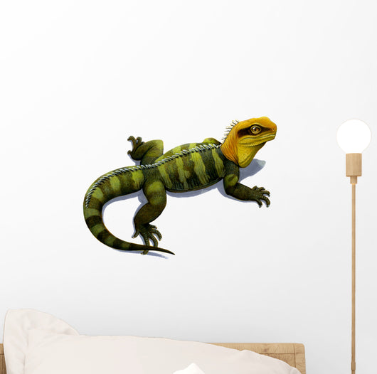 Clevosaurus Prehistoric Reptile Similar Wall Decal