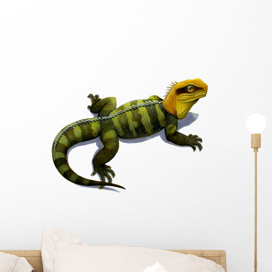 Clevosaurus Prehistoric Reptile Similar Wall Decal