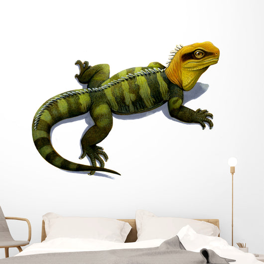 Clevosaurus Prehistoric Reptile Similar Wall Decal
