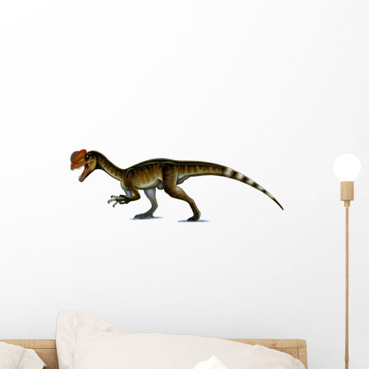 Dilophosaurus Wetherilli Wall Decal